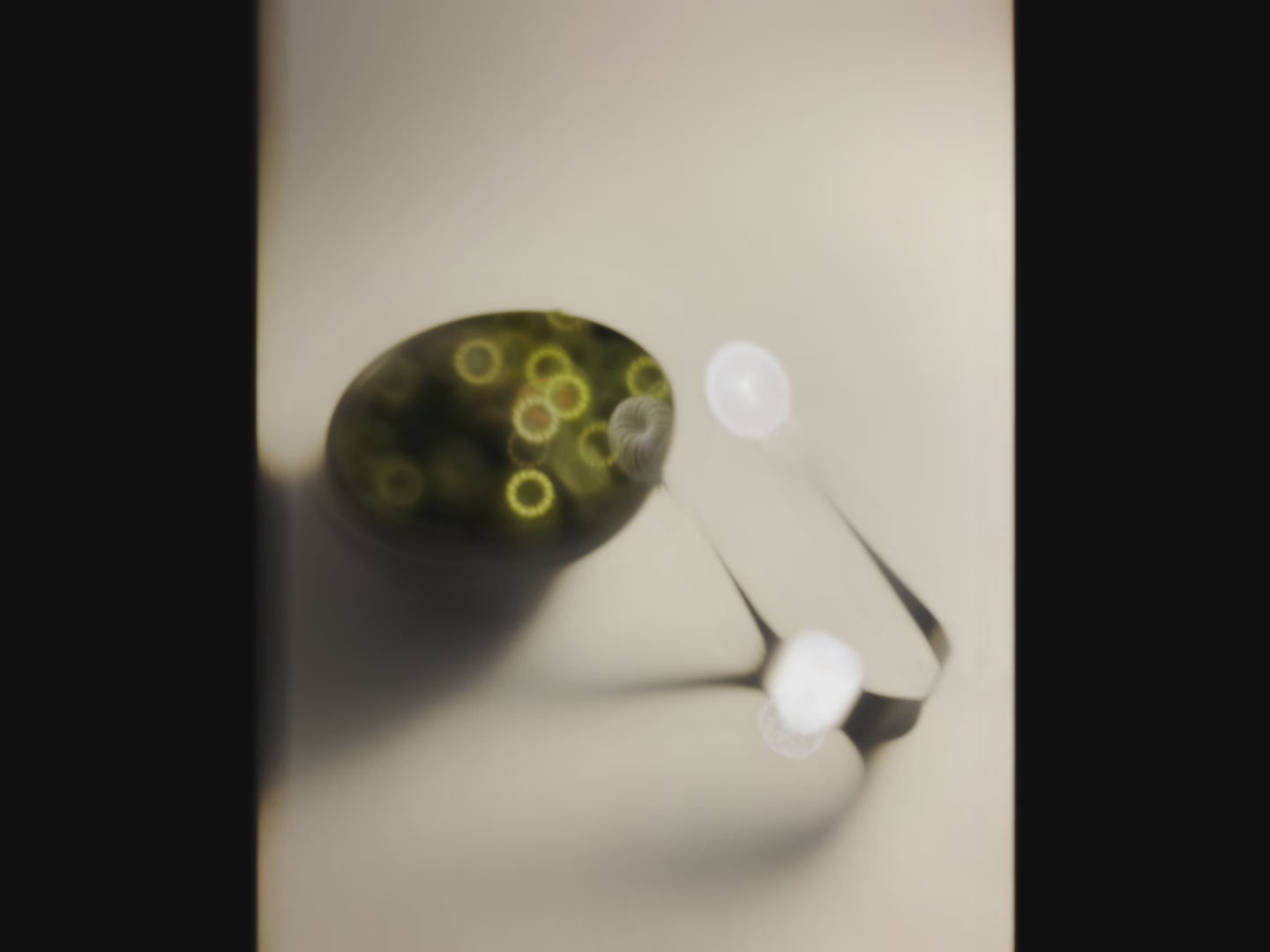 Atmospheric video of the Circles stainless steel serving piece beside a bowl of green olives, with soft light moving across the metal surface.